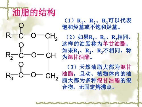 油脂下载 化学