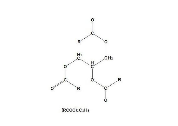 甘油三酯·化学·结构式