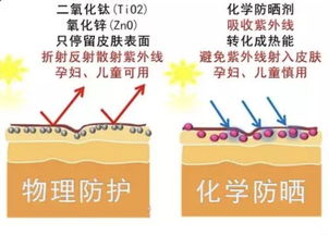 防晒没涂对、没涂足,终于知道自己为什么黑了——化学油脂的隐秘陷阱