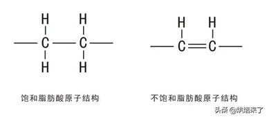 饱和脂肪酸与不饱和脂肪酸 化学油脂知识对烘焙的深远影响