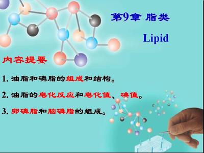医用化学 第9章 脂类与化学油脂——结构与功能的生物学探秘