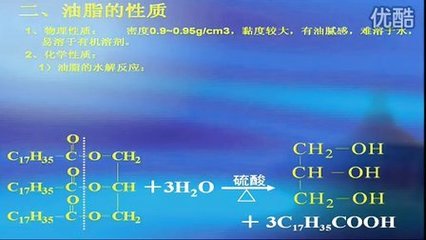 油脂 生命能量与化学智慧的结晶